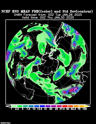 NCEP Ensemble forecast product