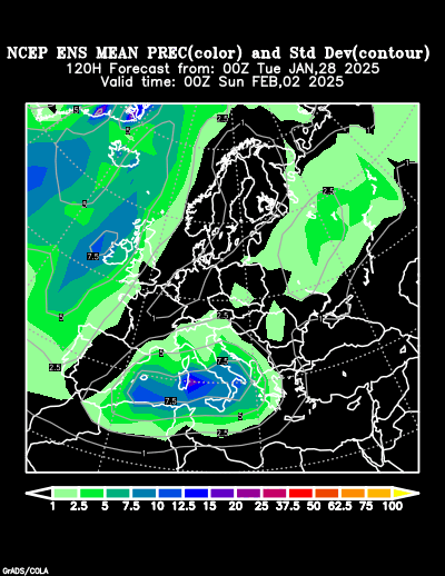 NCEP Ensemble t = 120 hour forecast product