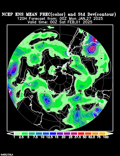 NCEP Ensemble forecast product