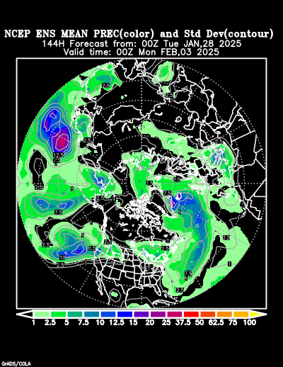 NCEP Ensemble forecast product