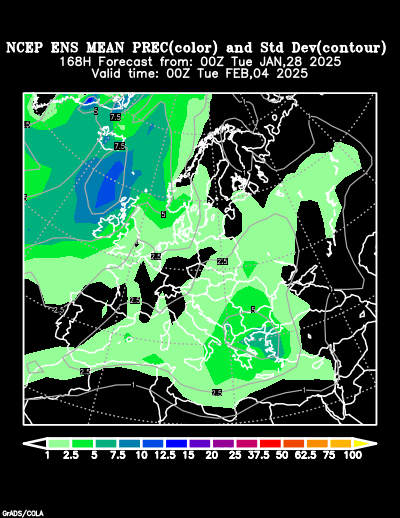 NCEP Ensemble forecast product