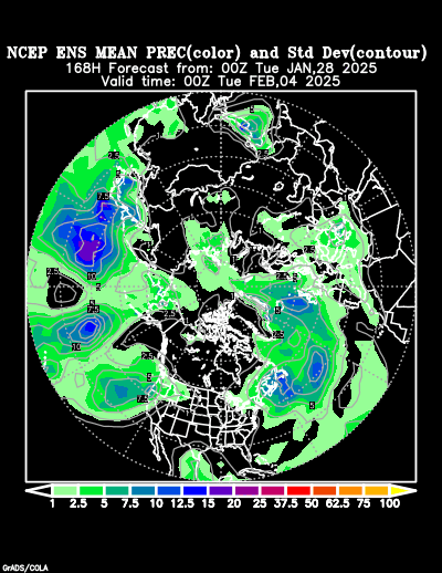 NCEP Ensemble forecast product