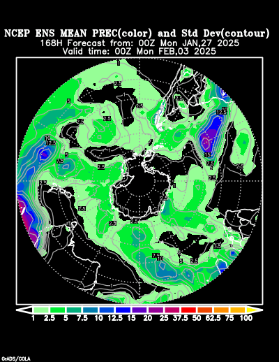 NCEP Ensemble forecast product