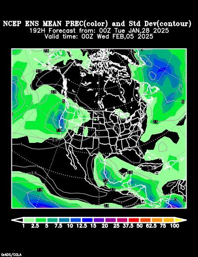 NCEP Ensemble forecast product