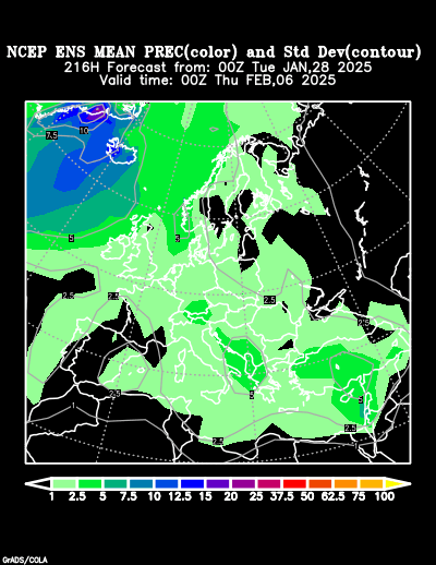 NCEP Ensemble t = 216 hour forecast product