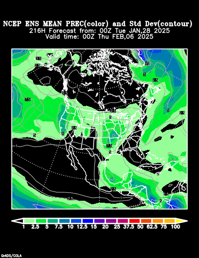 NCEP Ensemble forecast product