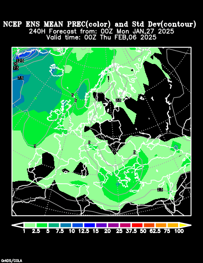 NCEP Ensemble t = 240 hour forecast product