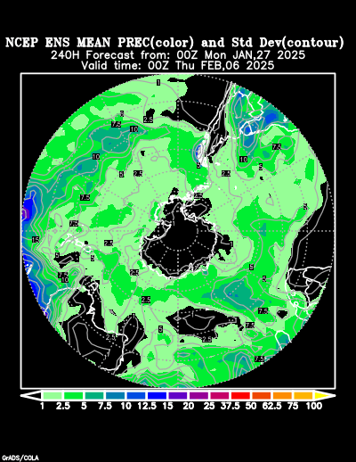 NCEP Ensemble forecast product