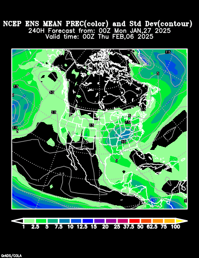 NCEP Ensemble forecast product