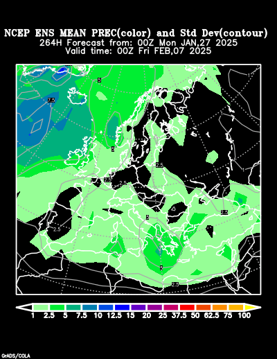 NCEP Ensemble t = 264 hour forecast product