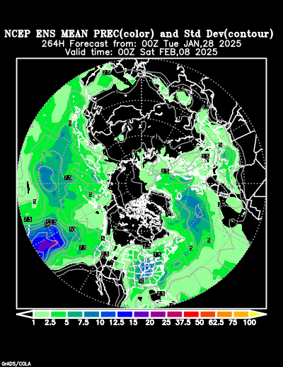 NCEP Ensemble forecast product