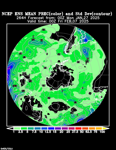 NCEP Ensemble forecast product