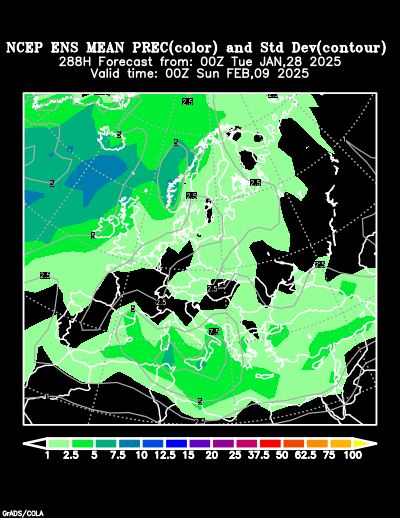 NCEP Ensemble t = 288 hour forecast product