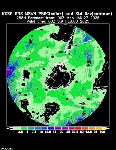 NCEP Ensemble forecast product