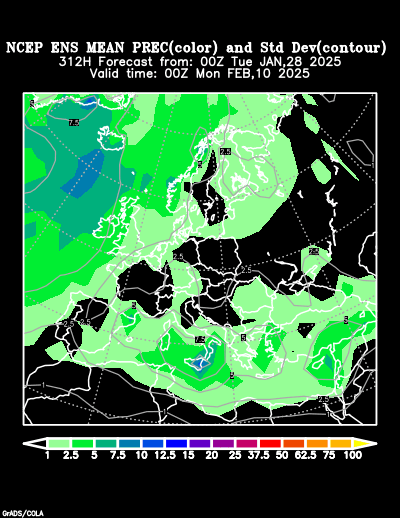 NCEP Ensemble t = 312 hour forecast product