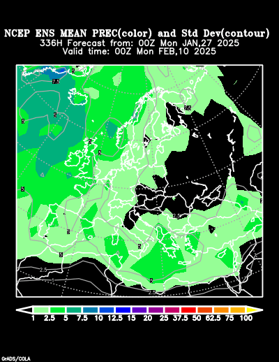 NCEP Ensemble t = 336 hour forecast product