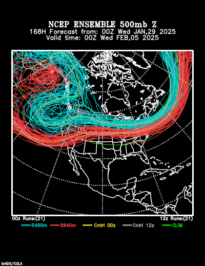 NCEP Ensemble forecast product