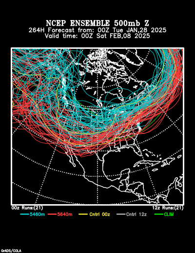 NCEP Ensemble forecast product