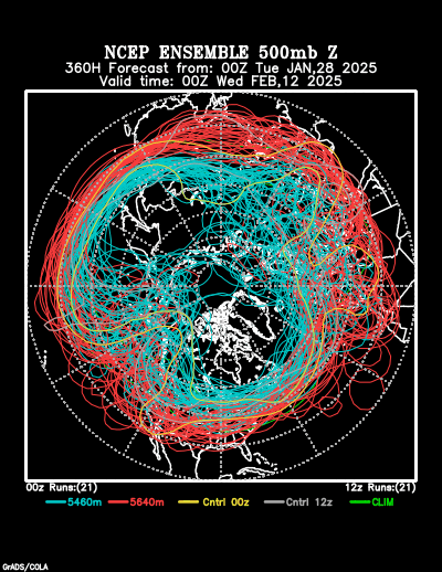 NCEP Ensemble forecast product