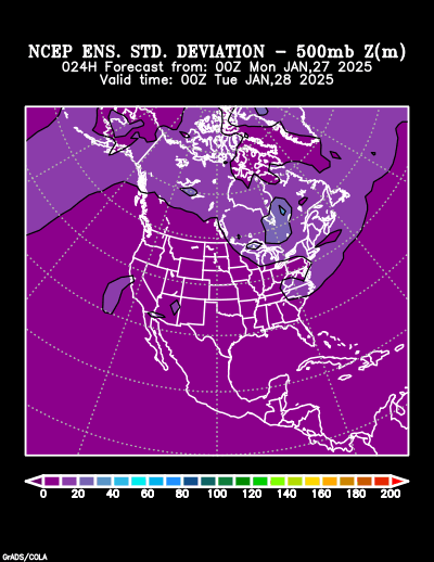 NCEP Ensemble t = 024 hour forecast product