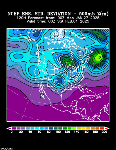 NCEP Ensemble t = 120 hour forecast product