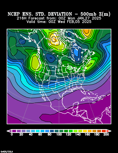 NCEP Ensemble t = 216 hour forecast product