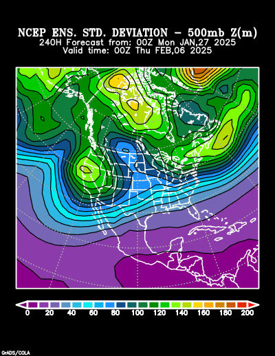 NCEP Ensemble t = 240 hour forecast product