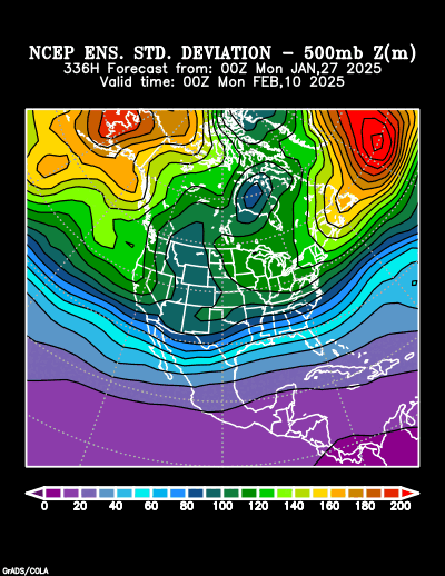 NCEP Ensemble t = 336 hour forecast product