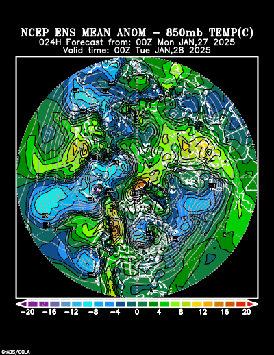 NCEP Ensemble forecast product