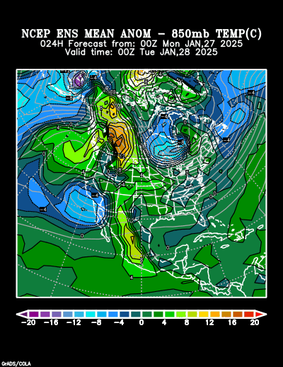 NCEP Ensemble t = 024 hour forecast product