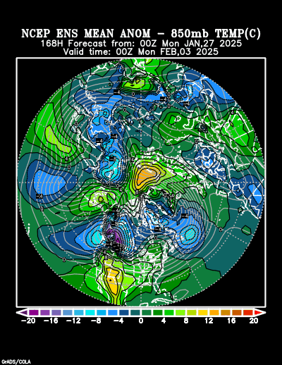 NCEP Ensemble forecast product