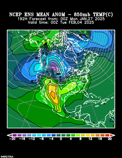 NCEP Ensemble t = 192 hour forecast product