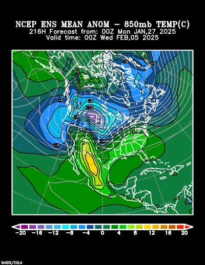 NCEP Ensemble t = 216 hour forecast product