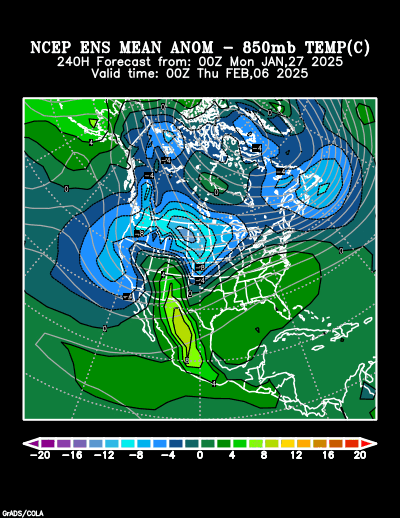 NCEP Ensemble t = 240 hour forecast product