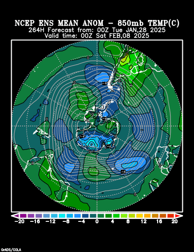 NCEP Ensemble forecast product