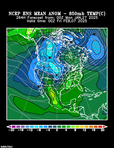 NCEP Ensemble t = 264 hour forecast product