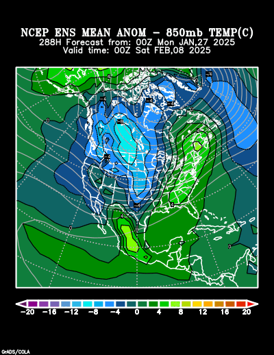 NCEP Ensemble t = 288 hour forecast product