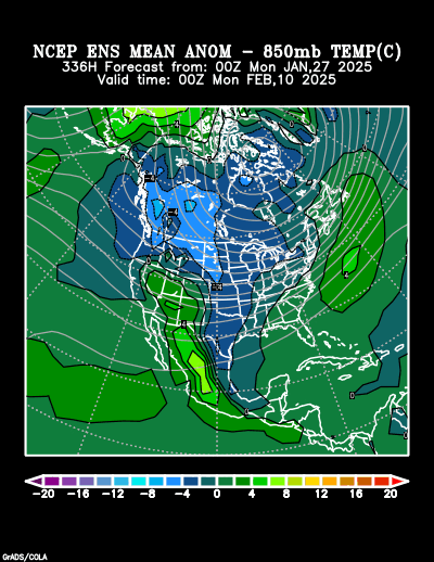 NCEP Ensemble t = 336 hour forecast product