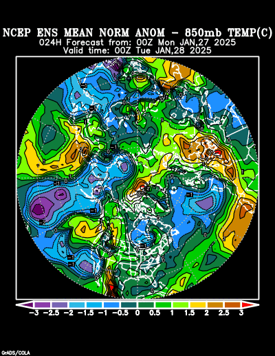 NCEP Ensemble forecast product