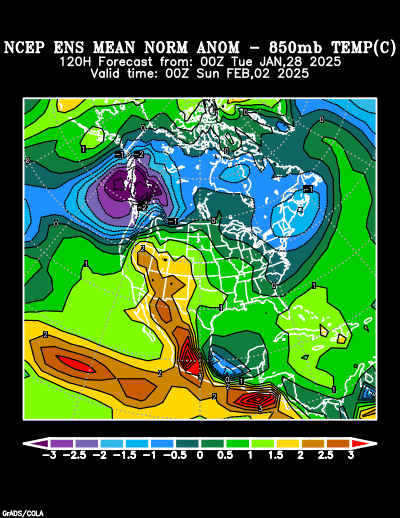 NCEP Ensemble forecast product