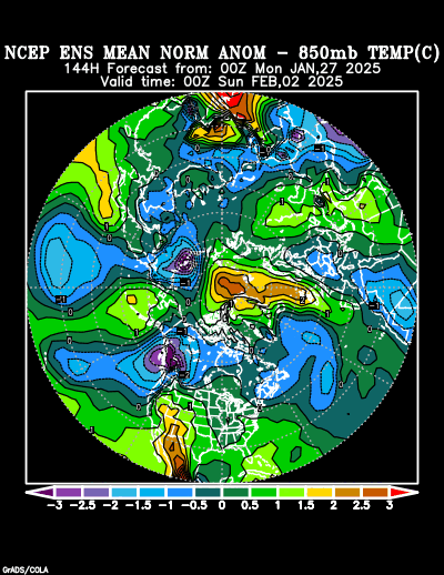 NCEP Ensemble forecast product