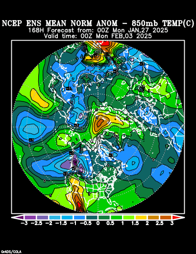 NCEP Ensemble forecast product