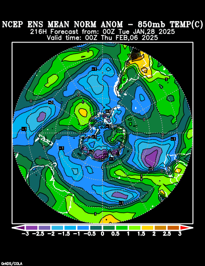 NCEP Ensemble forecast product