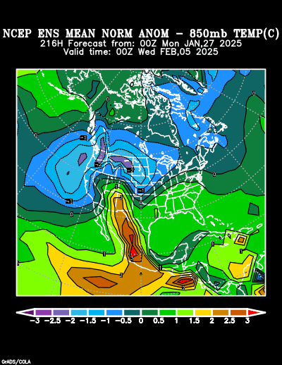 NCEP Ensemble forecast product