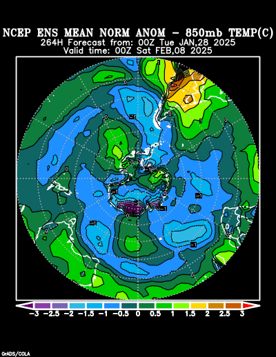 NCEP Ensemble forecast product