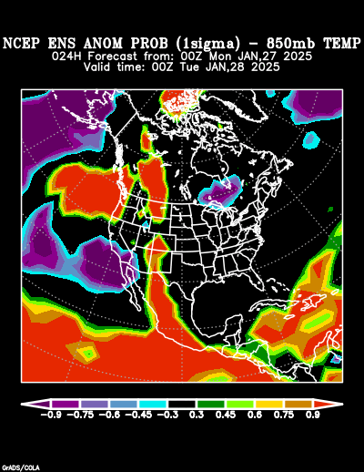 NCEP Ensemble forecast product