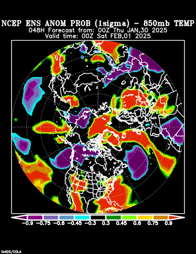 NCEP Ensemble forecast product