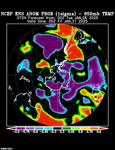 NCEP Ensemble forecast product