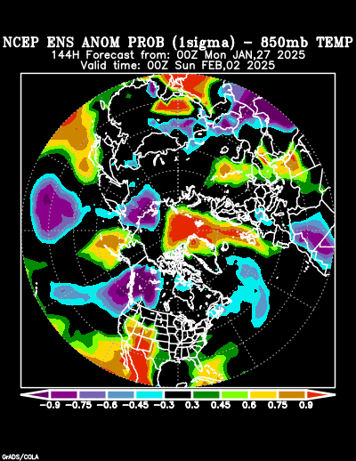 NCEP Ensemble forecast product