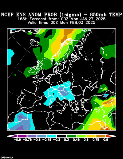 NCEP Ensemble forecast product